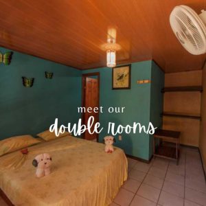 El Icaco - Double Standard Rooms[A/C]