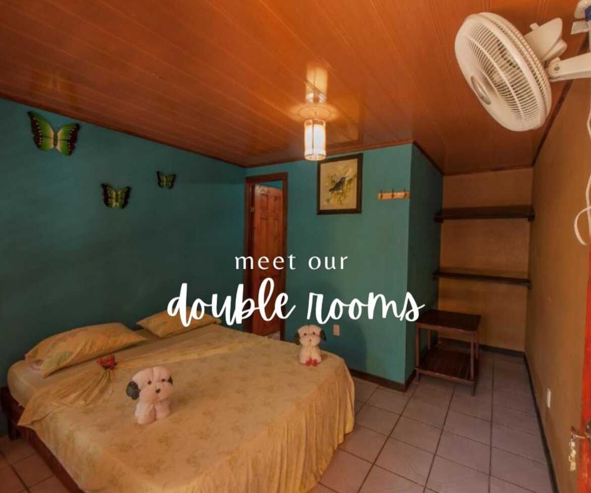 El Icaco - Double Standard Rooms[A/C]