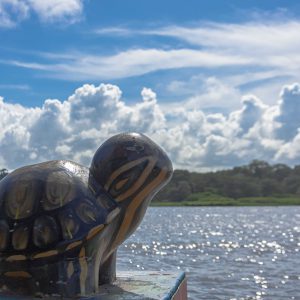Package, Exuberant Tortuguero — 3N.