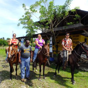 Cahuita’s Last Cowboy Horseback Riding Tour