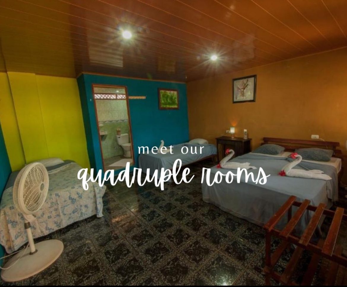 El Icaco - Superior Quadruple Room[A/C]