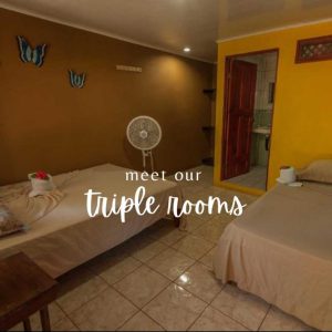 El Icaco - Triple Standard Rooms