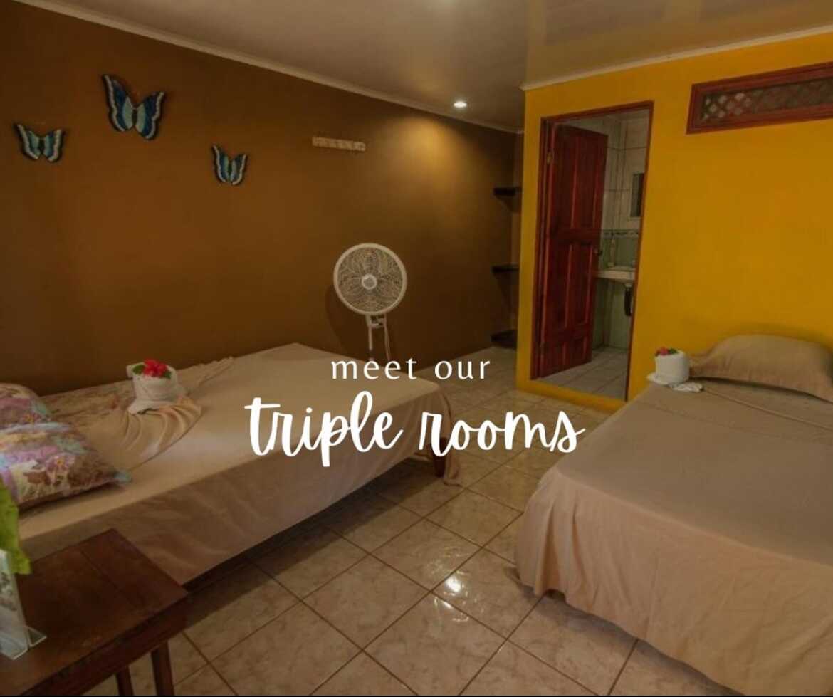 El Icaco - Triple Standard Rooms
