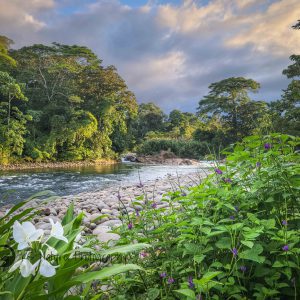 Package, Sarapiqui’s Wonders — 4N.